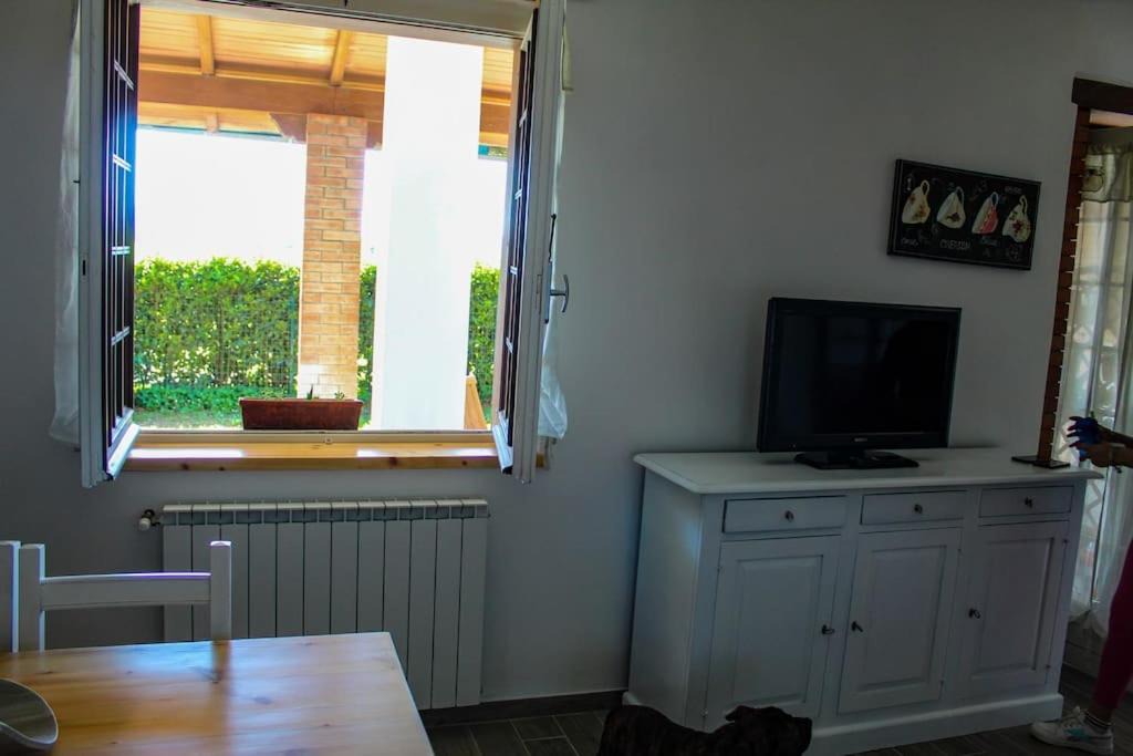 Photo of Others in Gavorrano