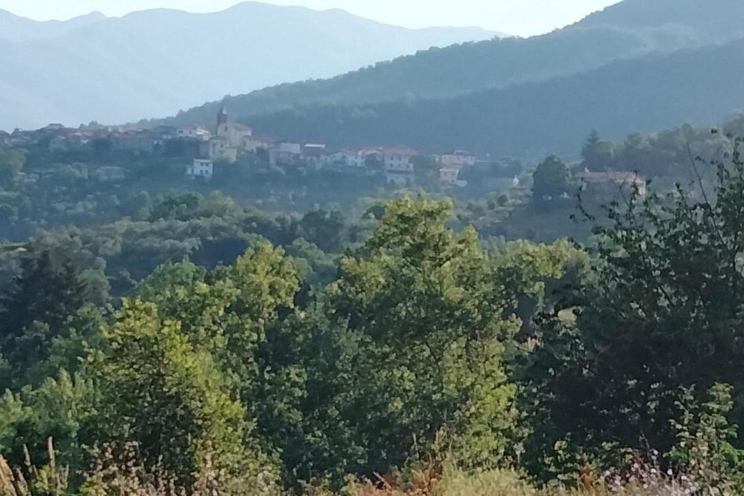 Photo of Others in Casola in Lunigiana