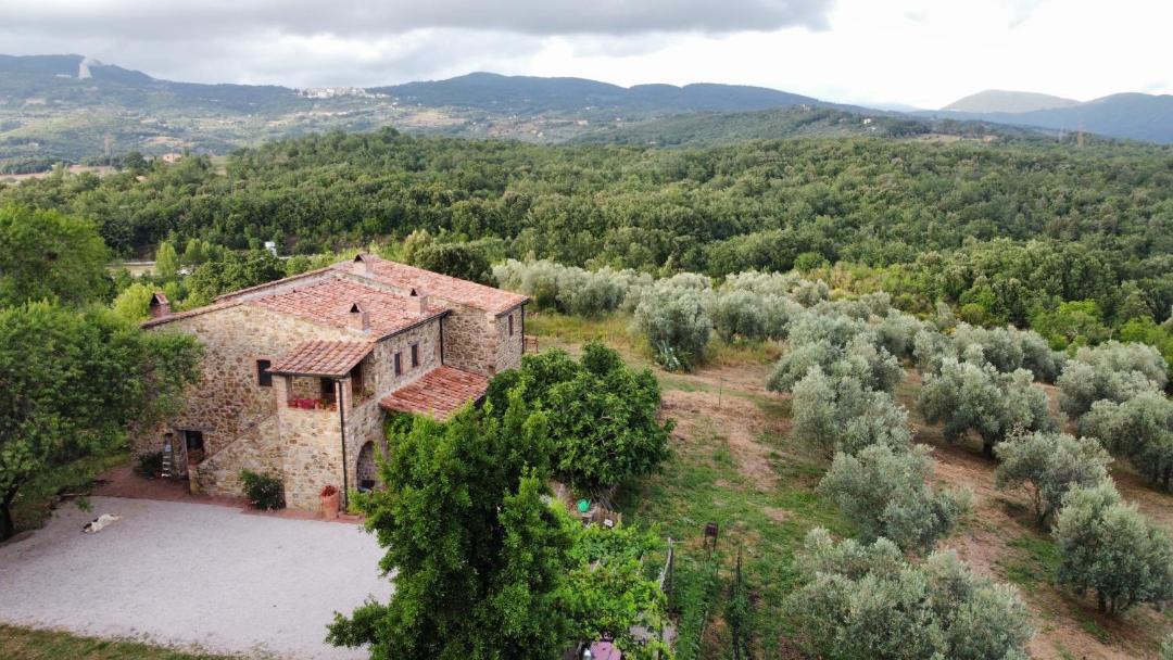 Photo of Others in Monterotondo Marittimo