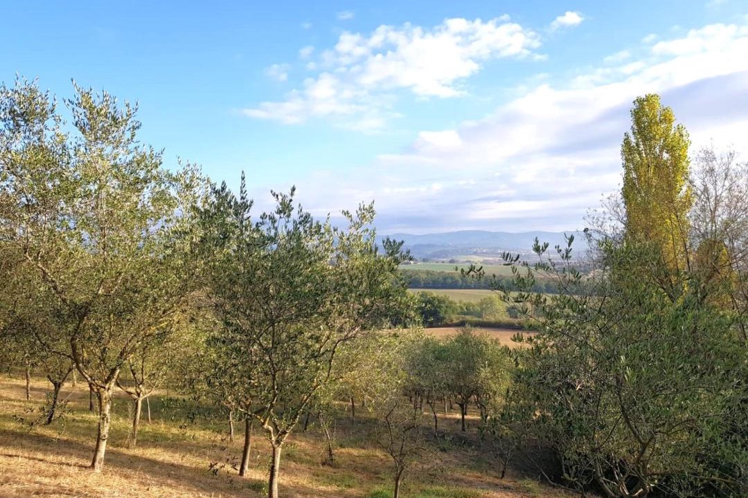Photo of Others in Torgiano