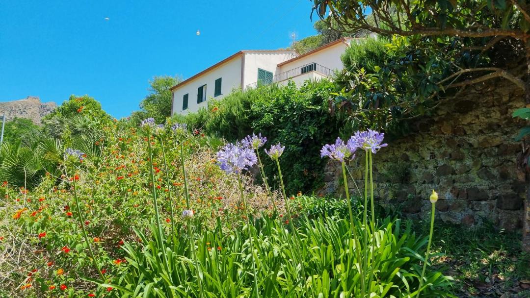 Photo of Others in Portoferraio