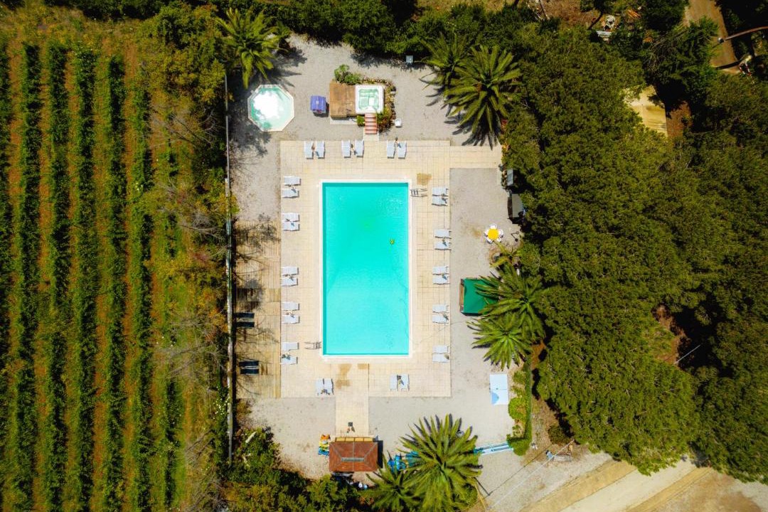 Photo of Others in Lacona