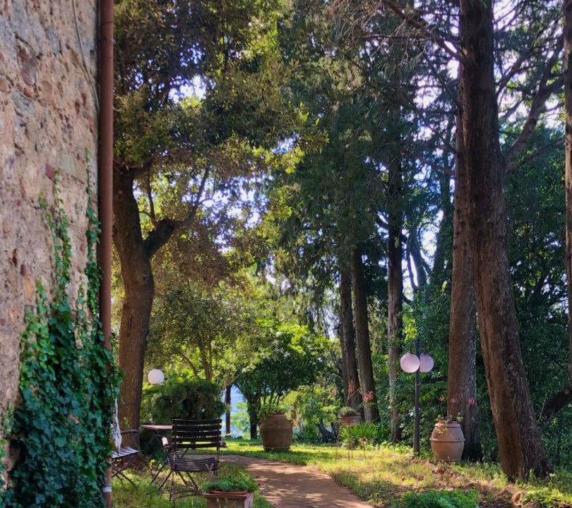 Photo of Others in Massa Marittima