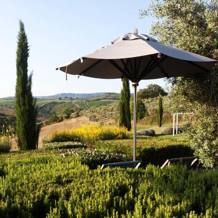 Photo of Others in Magliano in Toscana