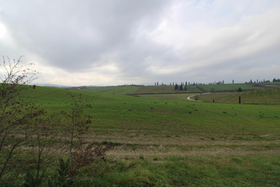 Photo of Others in Monteroni d'Arbia