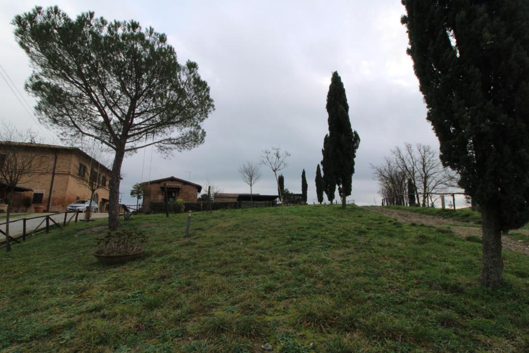 Photo of Others in Monteroni d'Arbia
