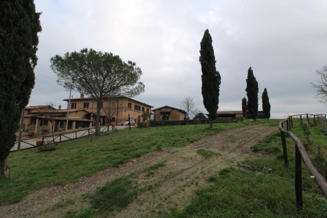 Photo of Others in Monteroni d'Arbia