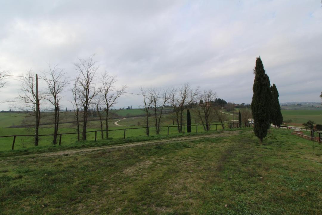 Photo of Others in Monteroni d'Arbia