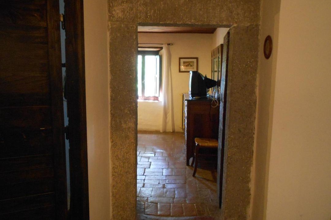 Photo of Others in Viterbo