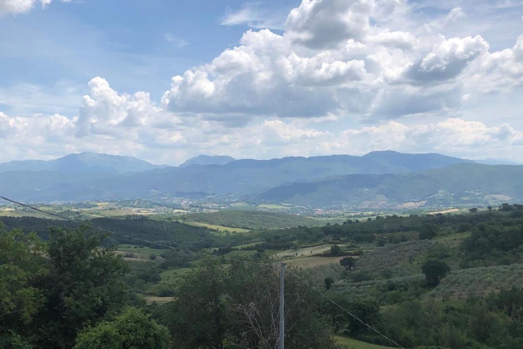 Photo of Others in Roselli
