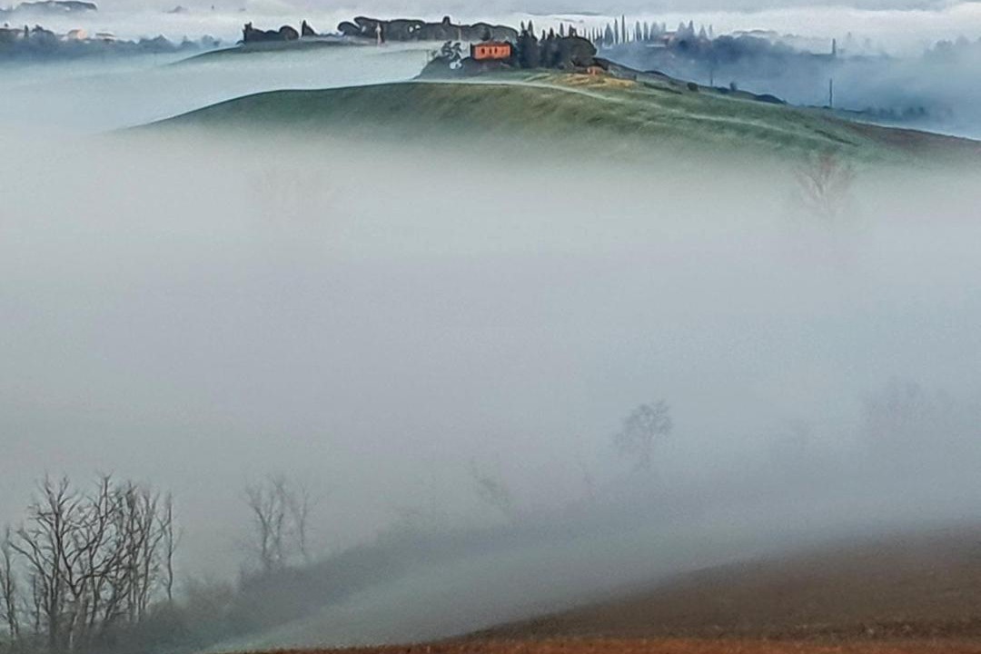Photo of Others in Monteroni d'Arbia