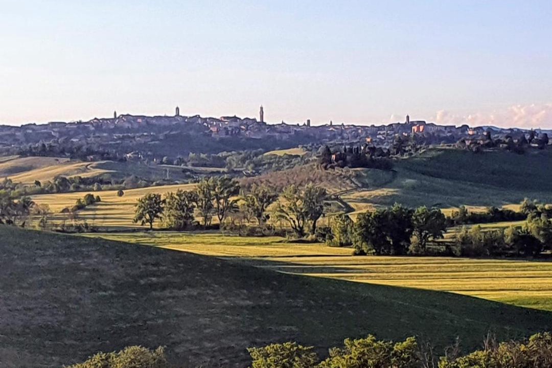 Photo of Others in Monteroni d'Arbia