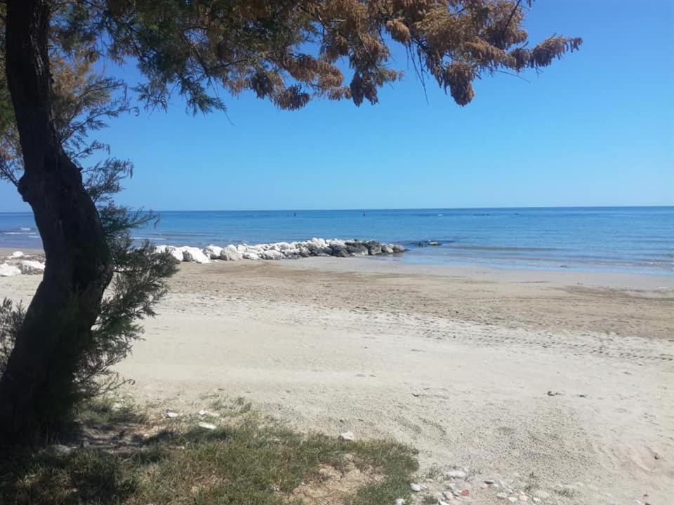 Photo of Others in Cologna Spiaggia