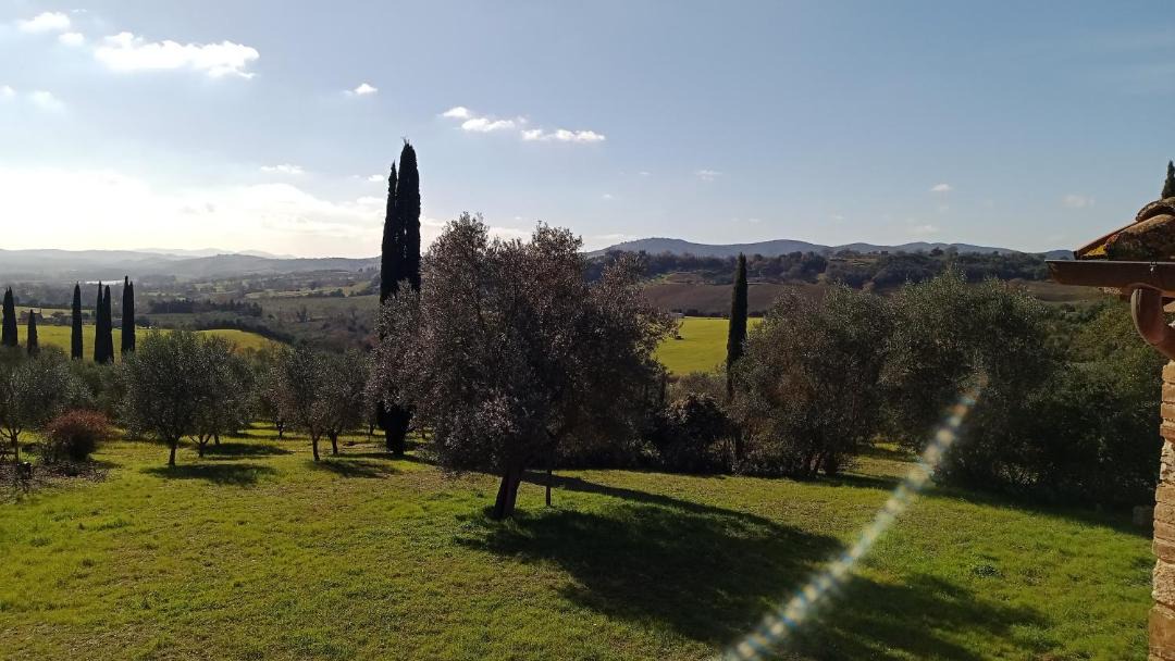 Photo of Others in Campagnatico
