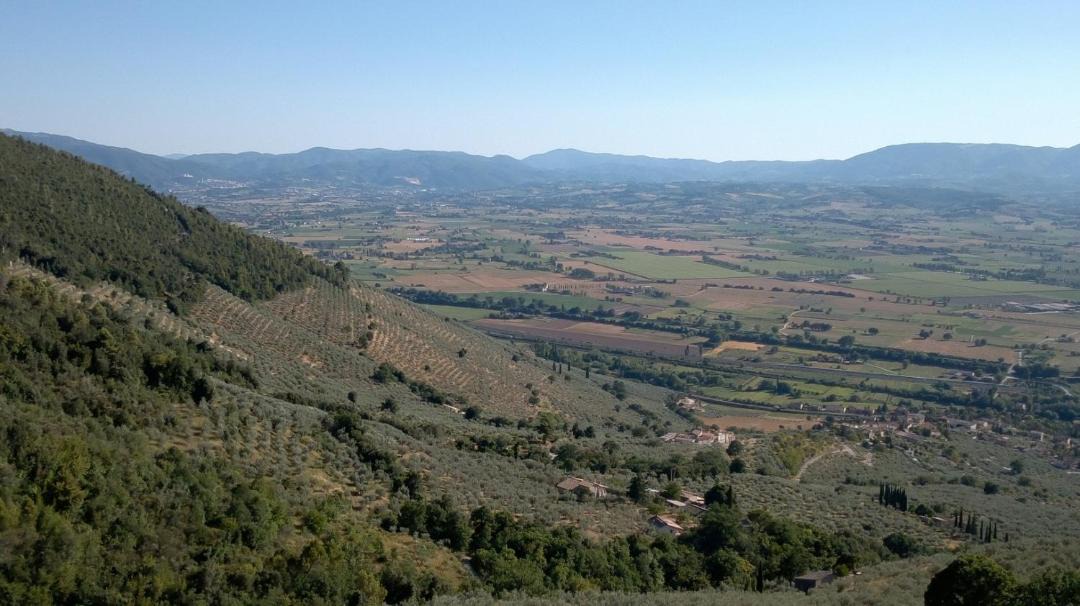 Photo of Others in Bovara
