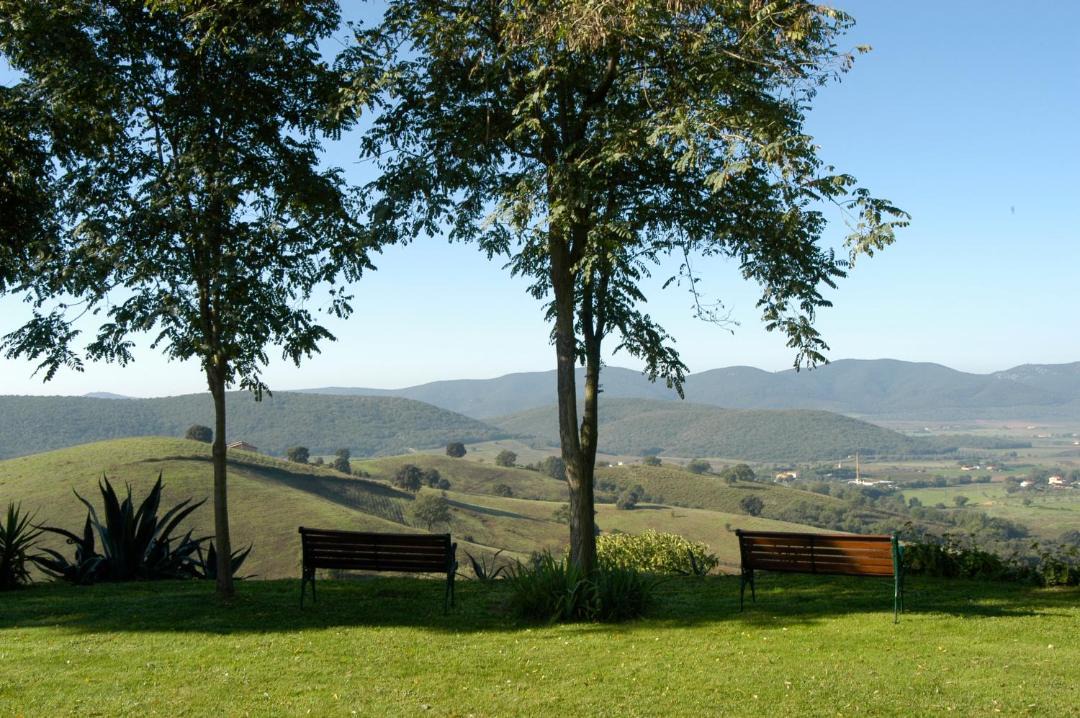 Photo of Others in Magliano in Toscana