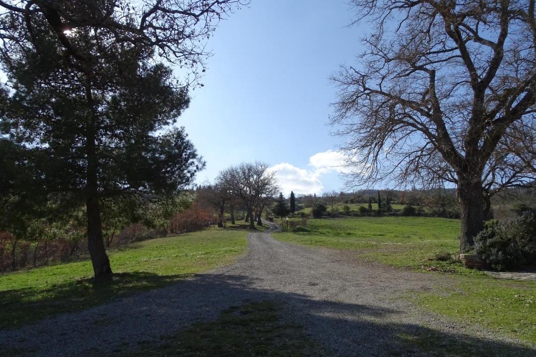Photo of Others in Castiglione d'Orcia