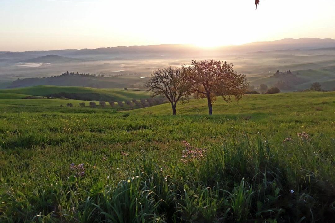 Photo of Others in Castiglione d'Orcia