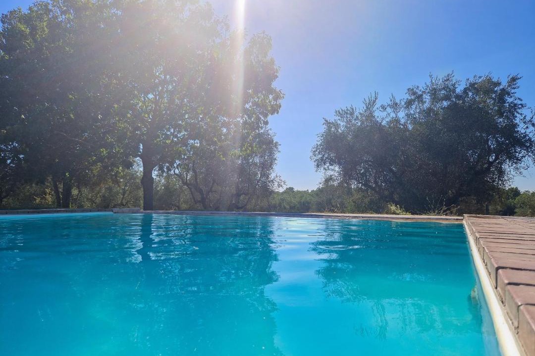 Photo of Others in Viterbo