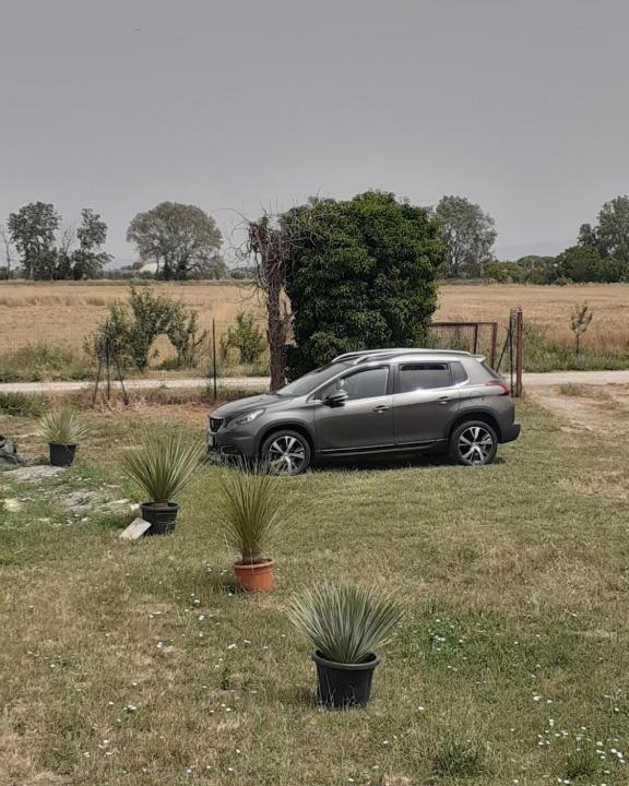Photo of Others in Grosseto