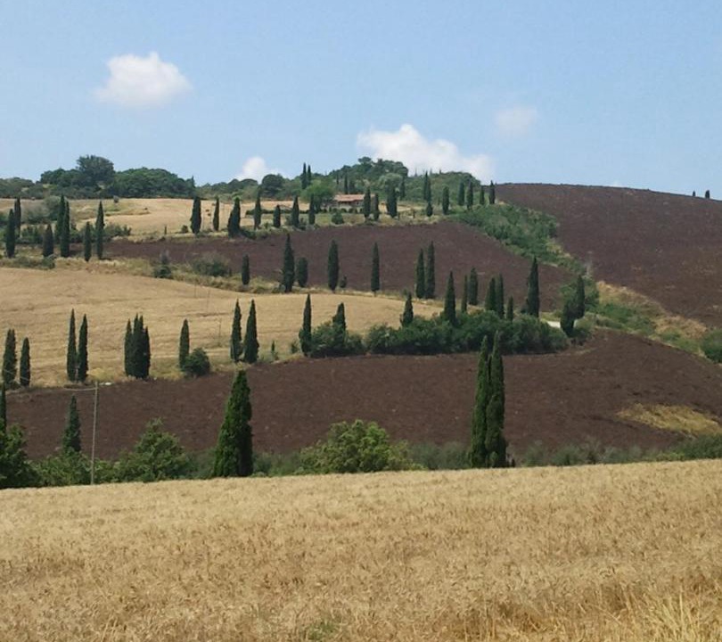 Photo of Others in Bagni San Filippo