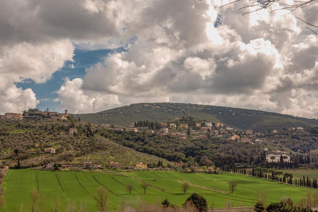 Photo of Others in Corciano