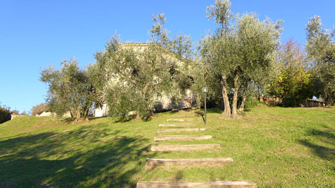 Photo of Others in Castiglione in Teverina