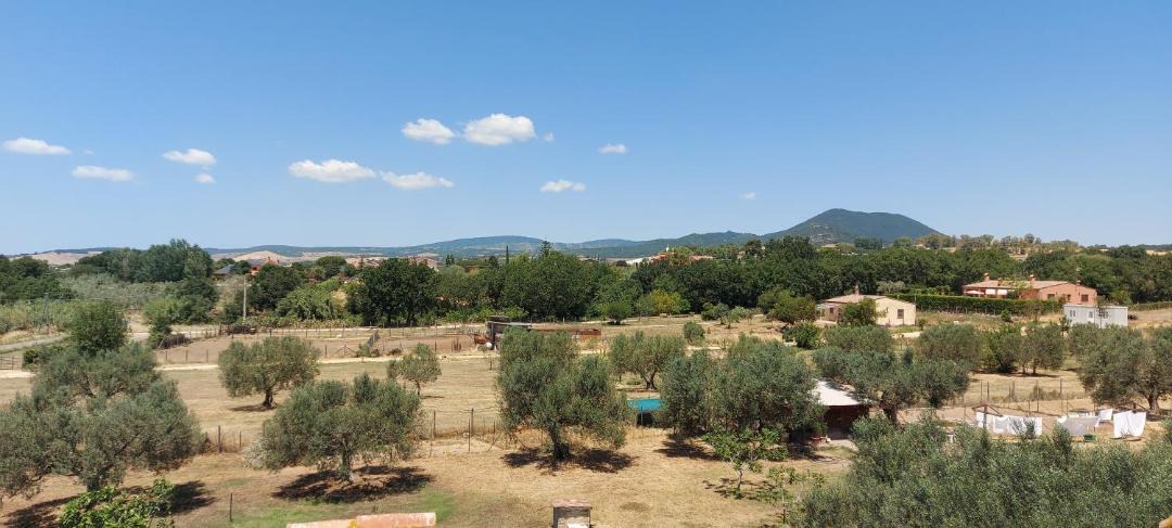 Photo of Others in Cerveteri