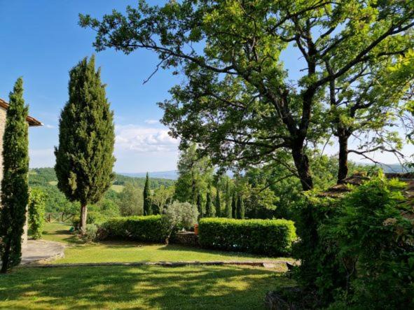 Photo of Others in Pieve Santo Stefano