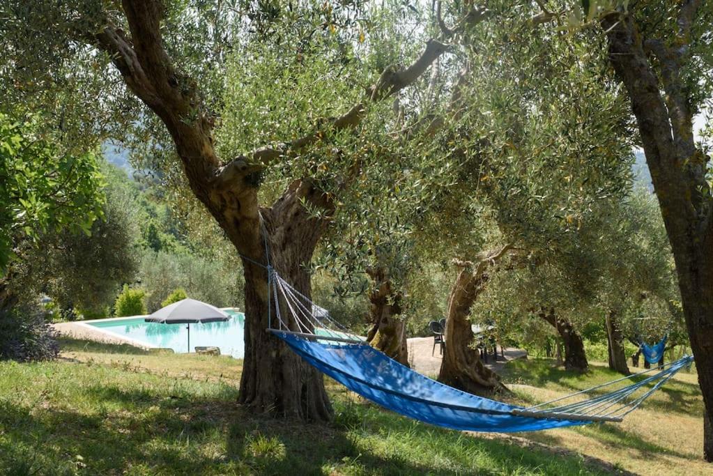 Photo of Outdoor in Montelaguardia