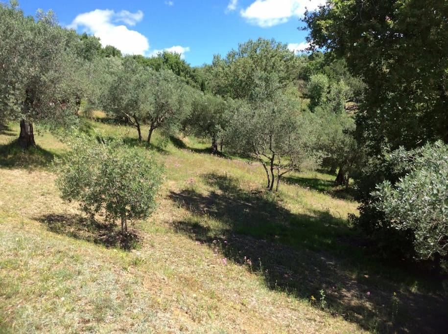 Photo of Outdoor in Montelaguardia