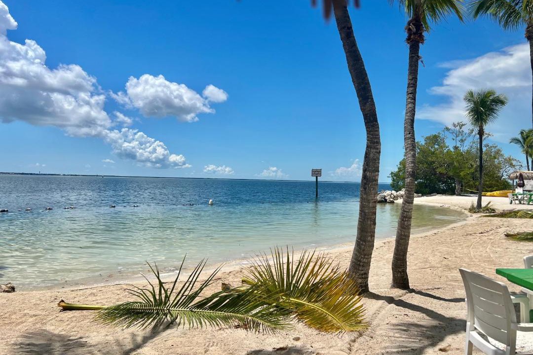 Photo of Others in Key Largo