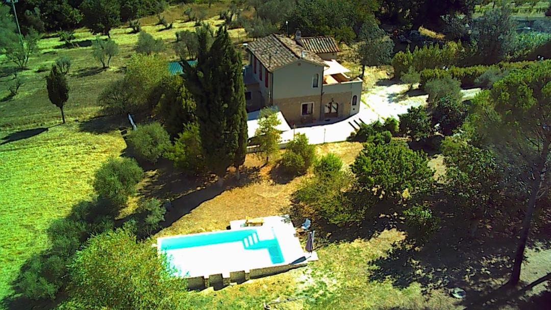 Photo of Others in Montescudaio