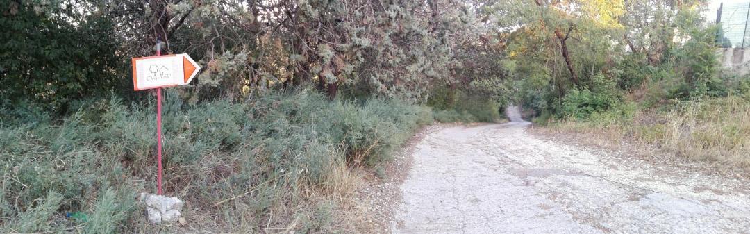 Photo of Others in Terni