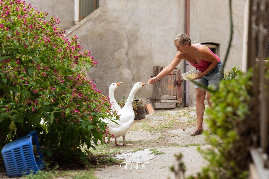 Photo of Others in Roccalvecce