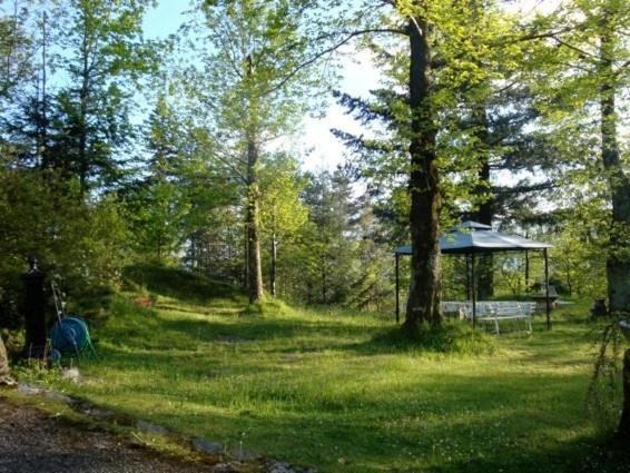 Photo of Outdoor in Borzonasca
