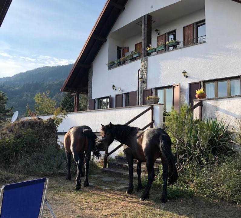 Photo of Buildings in Borzonasca