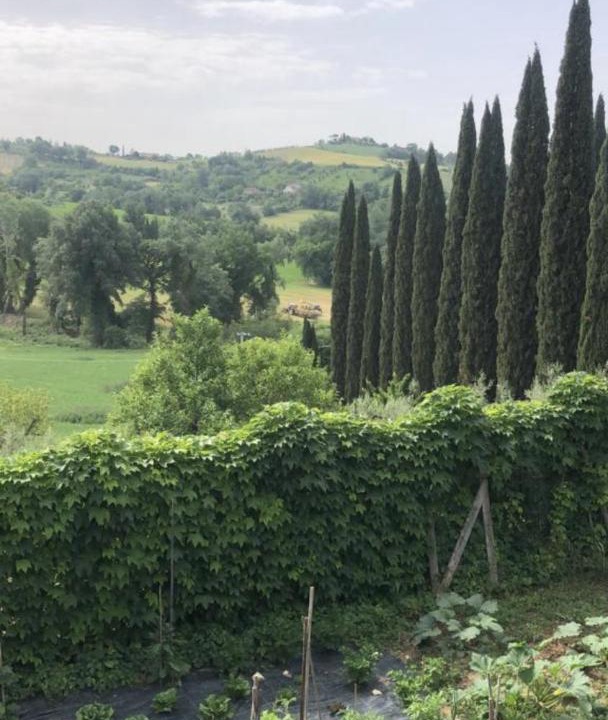 Photo of Others in Otricoli