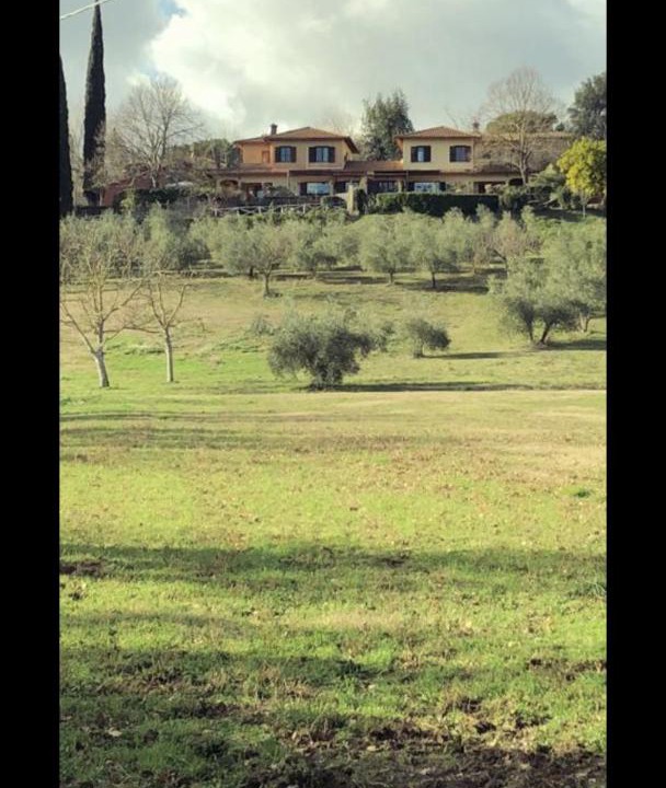 Photo of Others in Otricoli