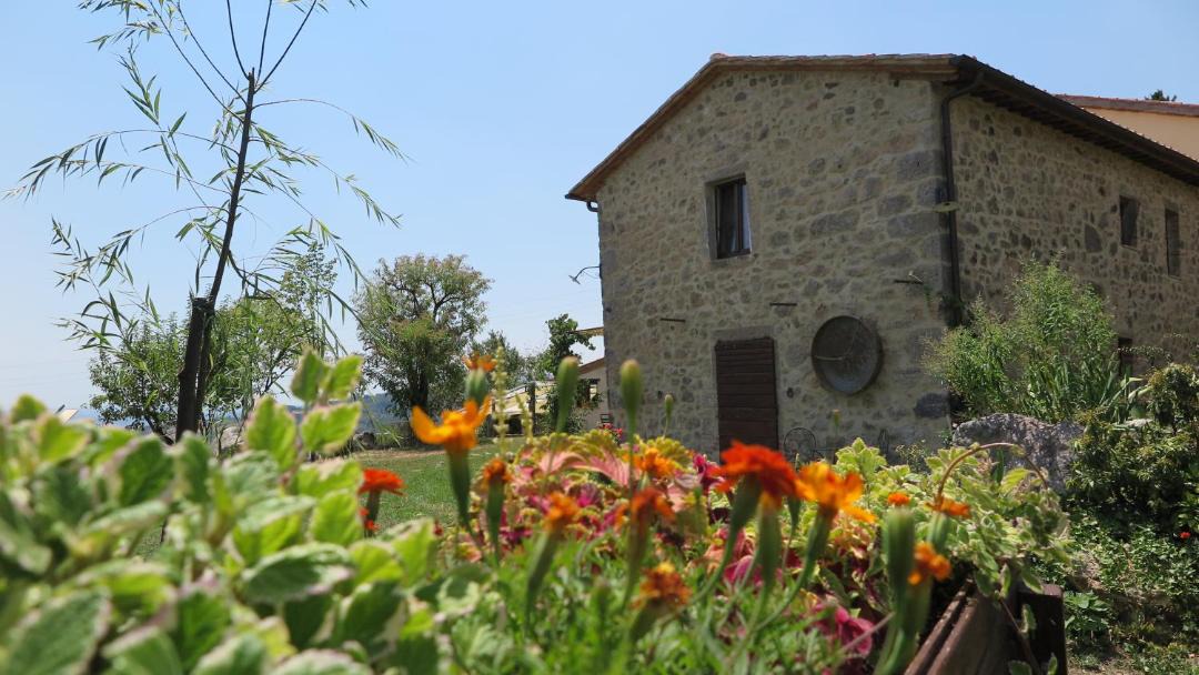 Photo of Others in Abbadia San Salvatore