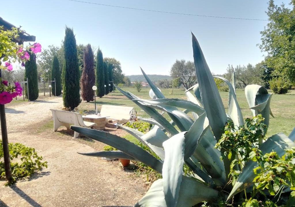 Photo of Others in Barbarano Romano
