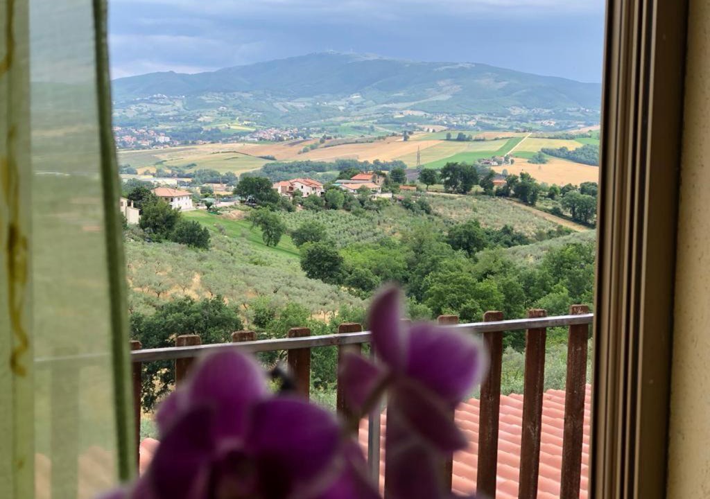 Photo of Patio Balcony in Gualdo Cattaneo