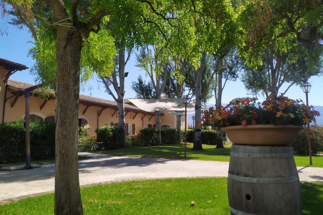 Photo of Others in Montefalco