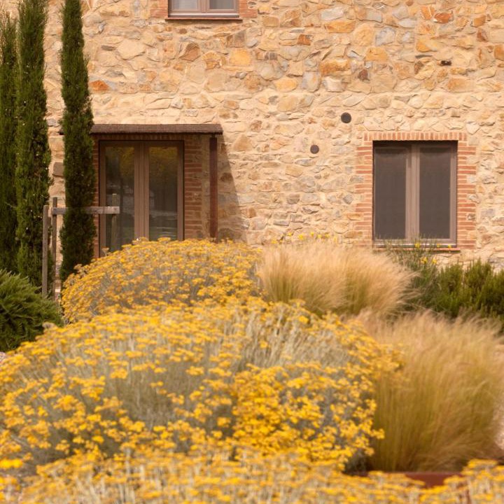 Photo of Others in Magliano in Toscana