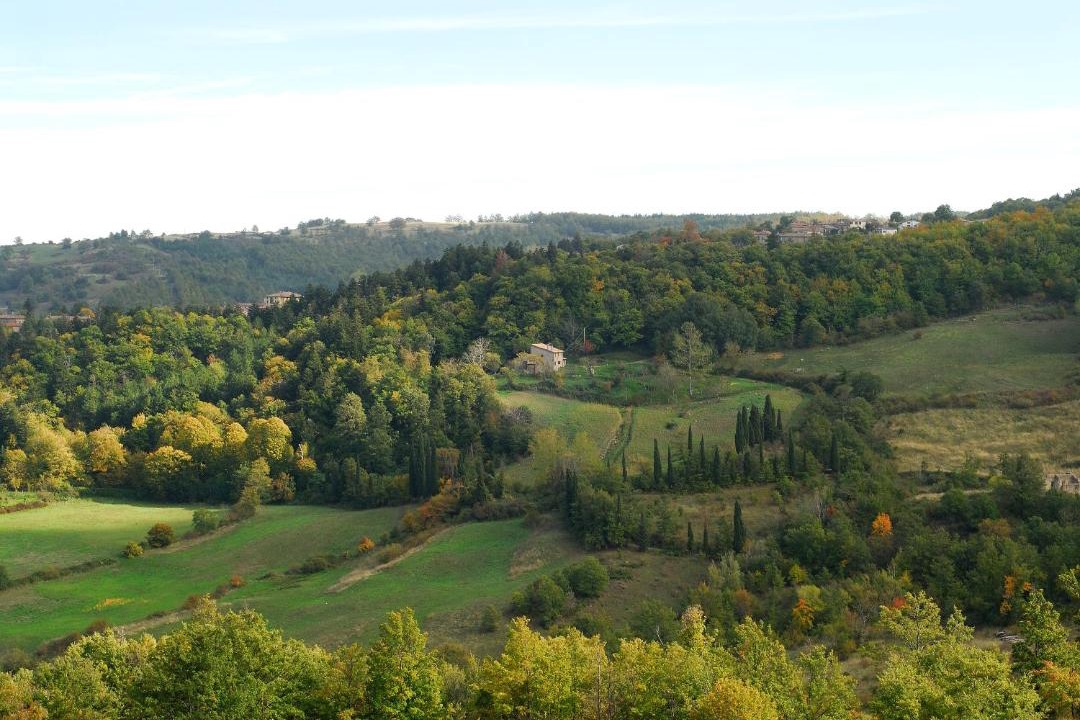 Photo of Others in Vivo dʼOrcia