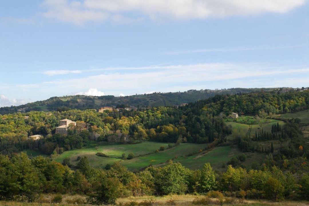 Photo of Others in Vivo dʼOrcia