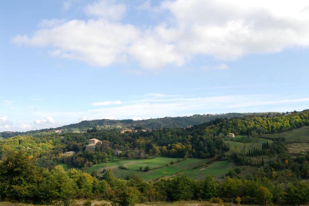Photo of Others in Vivo dʼOrcia