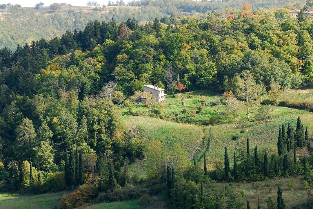 Photo of Others in Vivo dʼOrcia