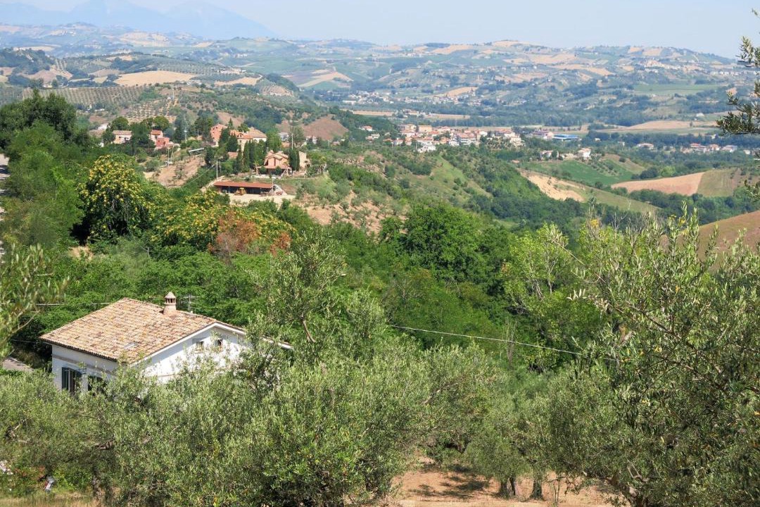 Photo of Outdoor in Collecorvino