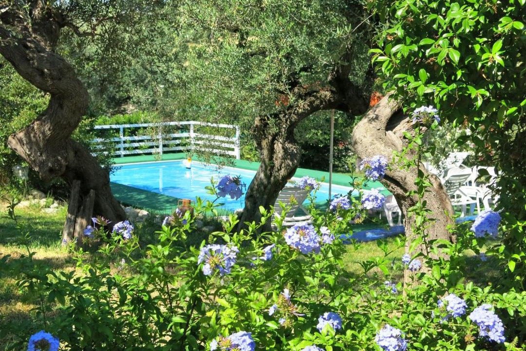 Photo of Others in Collecorvino